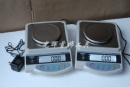 Jewelry scale